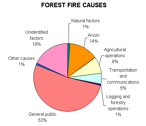 Forest fire activity map